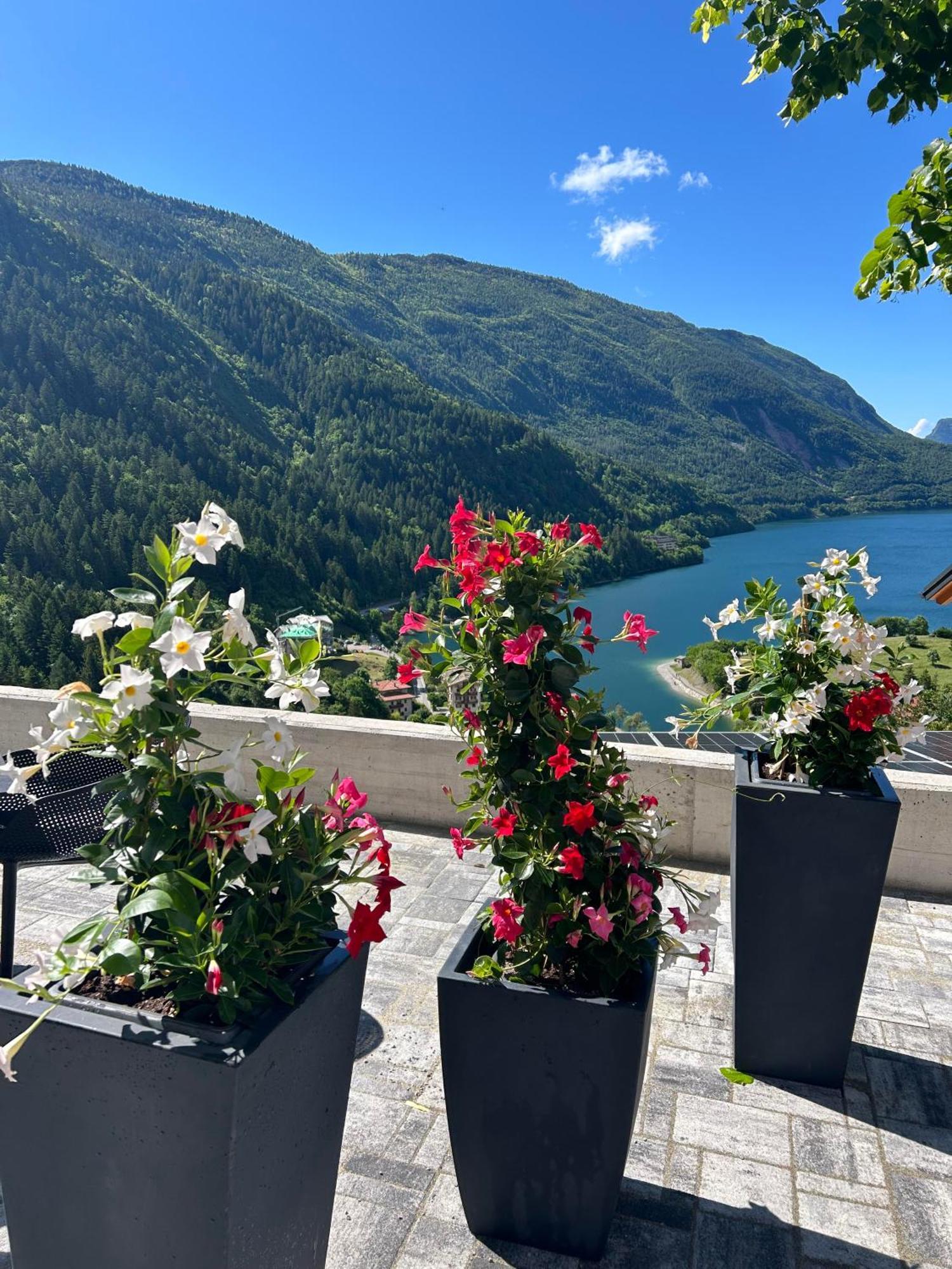 Hotel Aurora Молвена Екстериор снимка