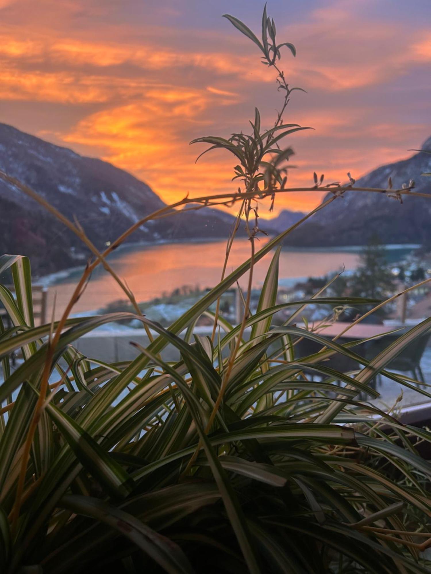 Hotel Aurora Молвена Екстериор снимка
